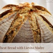 Dutch Oven Whole Wheat Bread with Lievito Madre