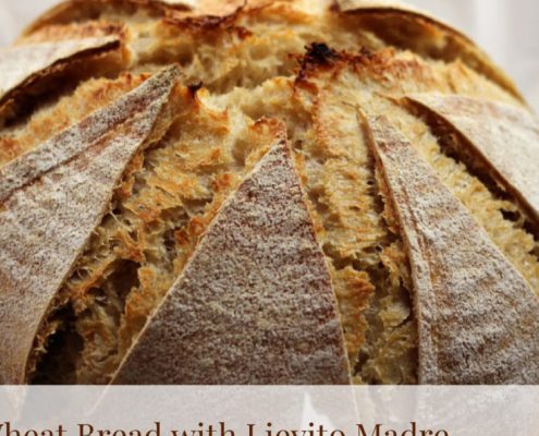 Dutch Oven Whole Wheat Bread with Lievito Madre