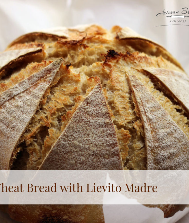 Dutch Oven Whole Wheat Bread With Lievito Madre   Bread Stamps
